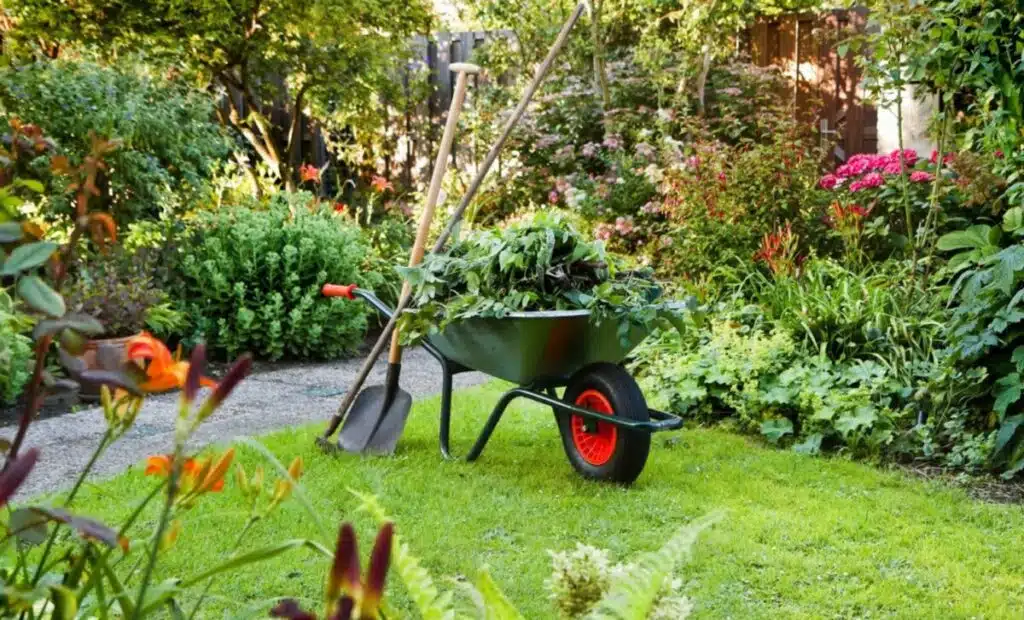 Pollice Verde Vicenza Giardino In Primavera? Come Prima Cosa Bisogna Pulire! 1