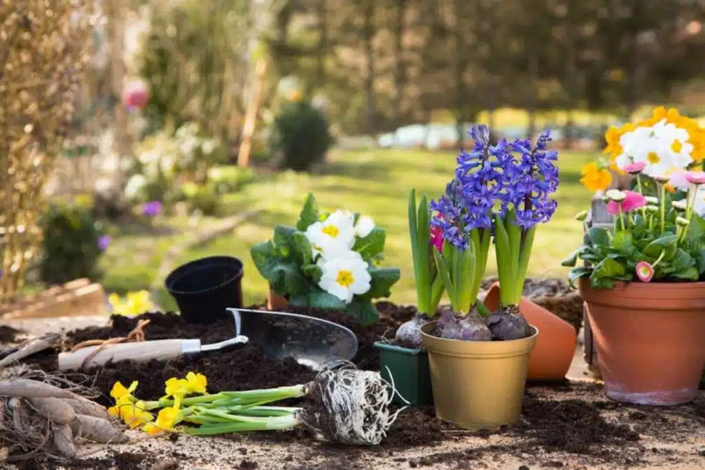 Giardino In Primavera