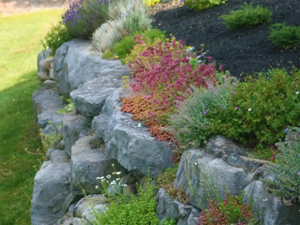 Giardino Roccioso