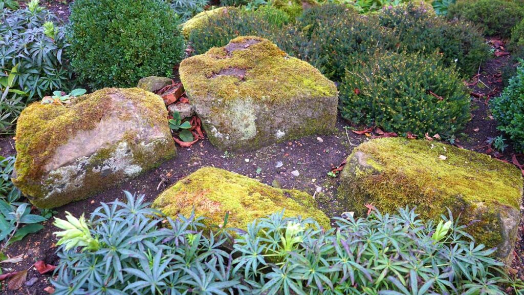 Giardino Roccioso