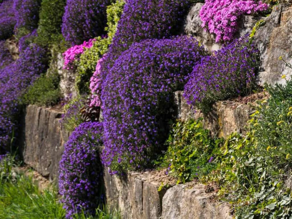Giardino Roccioso