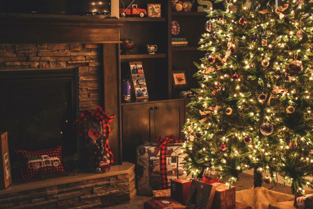 Albero Di Natale: Vero O Sintetico? - Pollice Verde Vicenza - 1 Albero Di Natale