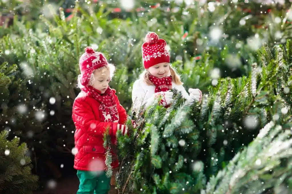 Albero Di Natale