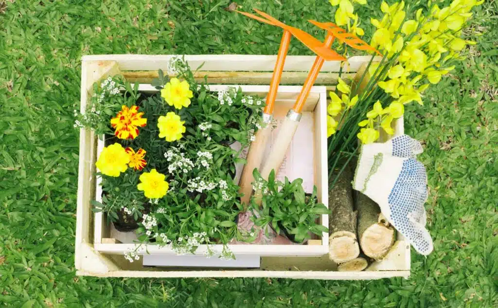 Giardino Perfetto