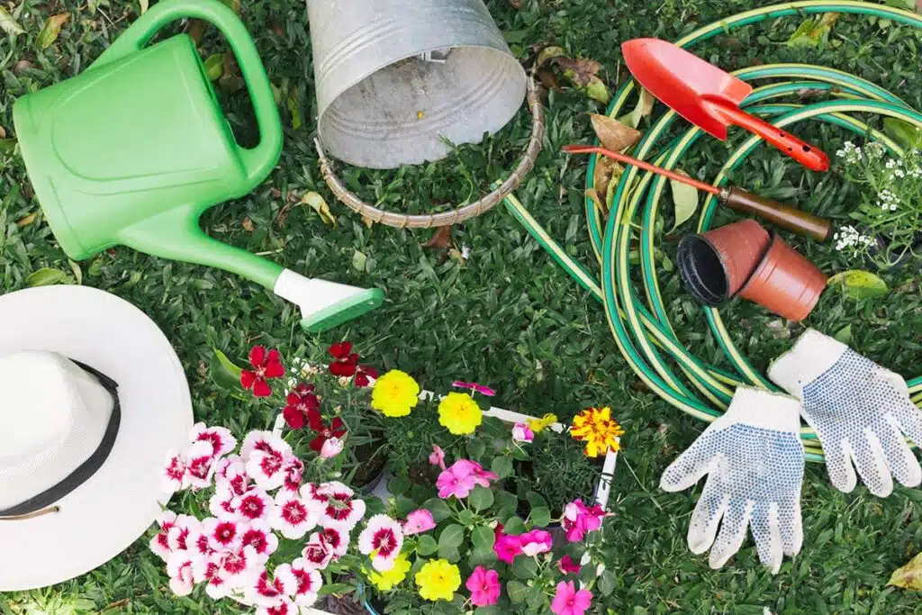 Orto E Giardino In Estate