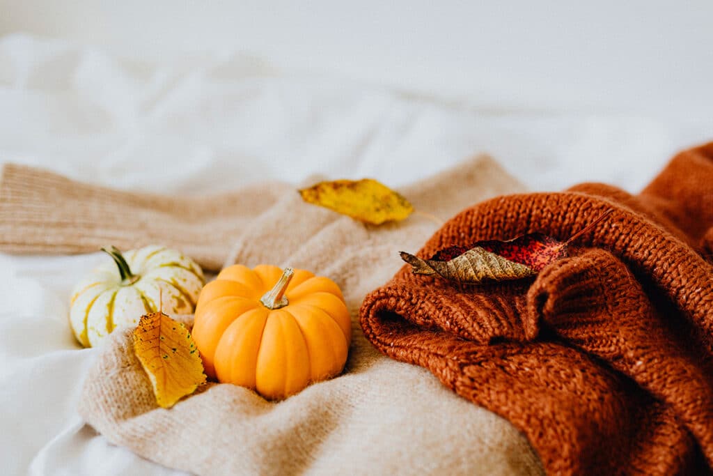 Il Frutto Di Ottobre: La Zucca - Pollice Verde Vicenza - 3 Zucca