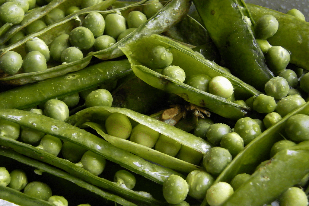 Orto E Giardino Maggio