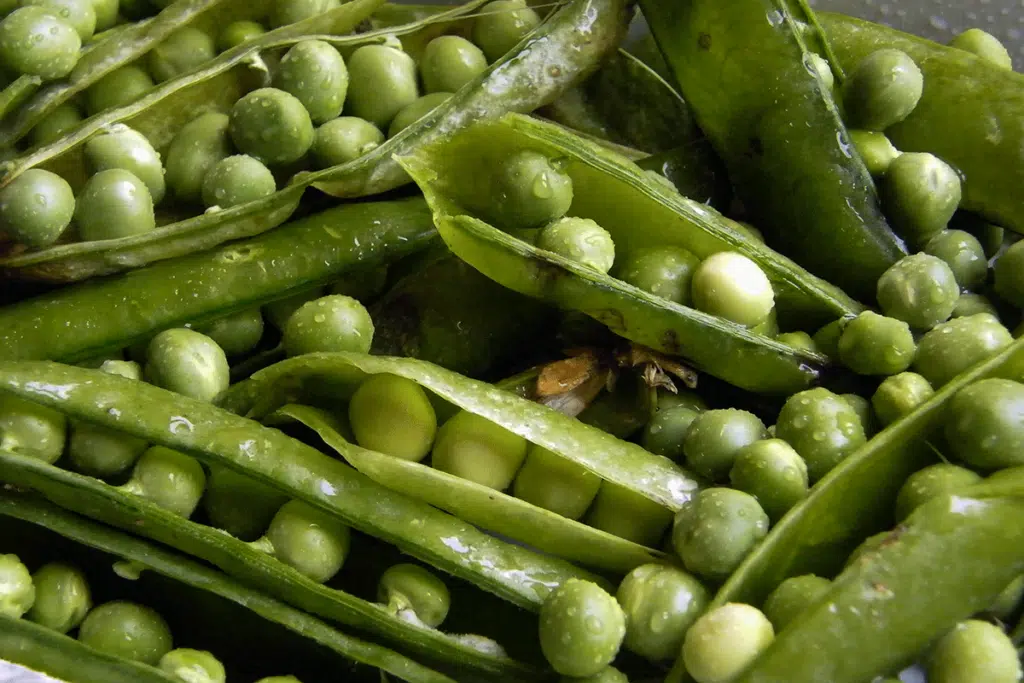 Orto E Giardino Maggio