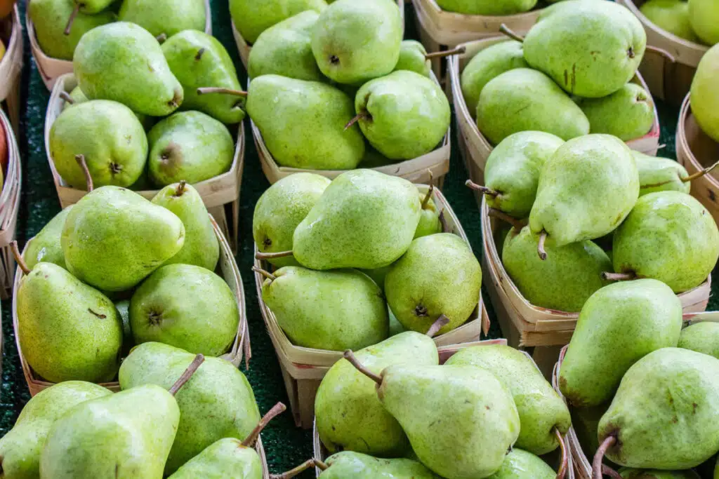 Orto Di Settembre