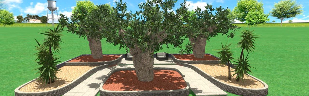 Progettazione-Giardini-3D-Vicenza-Pollice-Verde-Prima