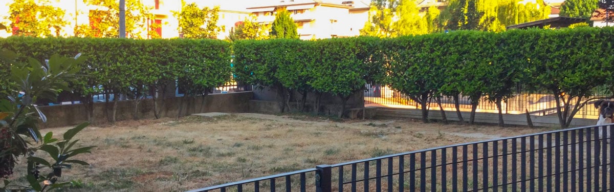 Progettazione-Giardini-Vicenza-Pollice-Verde-Prima