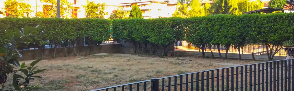 Le Realizzazioni - Pollice Verde Vicenza - 13 Progettazione-Giardini-Vicenza-Pollice-Verde-Prima