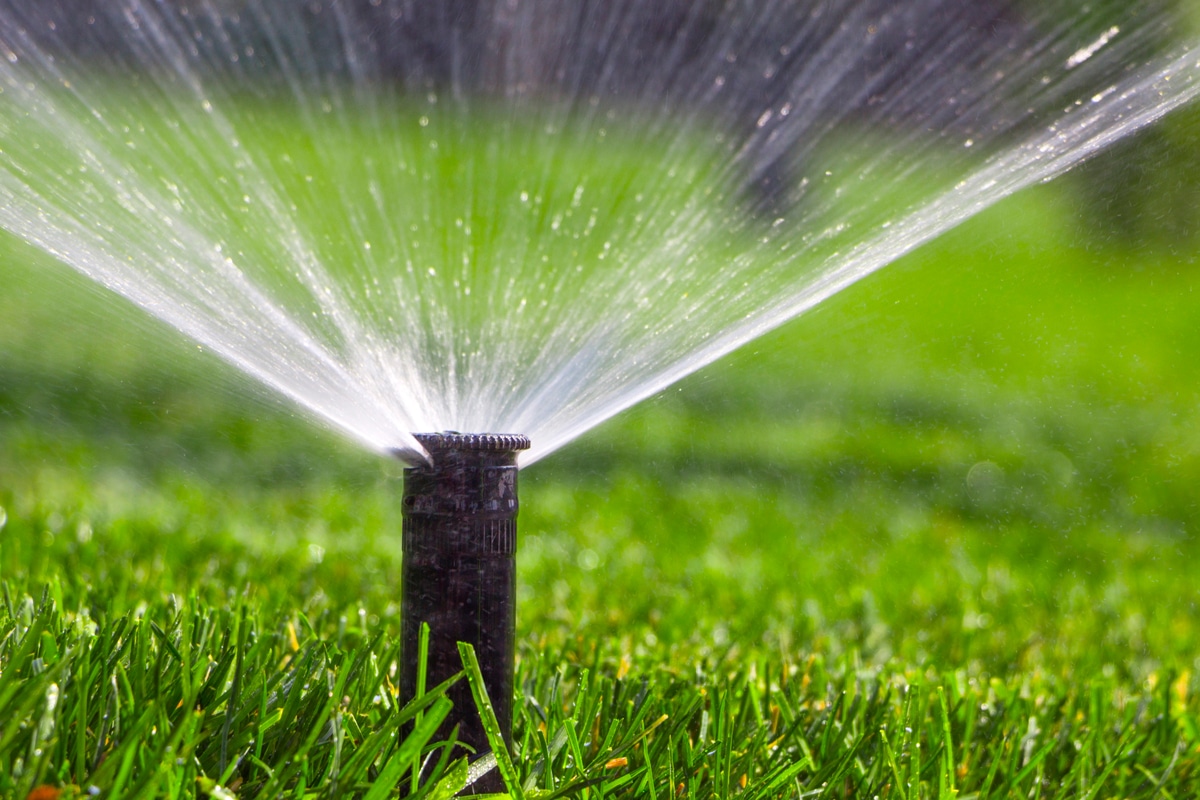 Blog - Pollice Verde Vicenza - 4 L’arte Dell’irrigazione: Come Mantenere Il Tuo Giardino Rigoglioso E Sostenibile