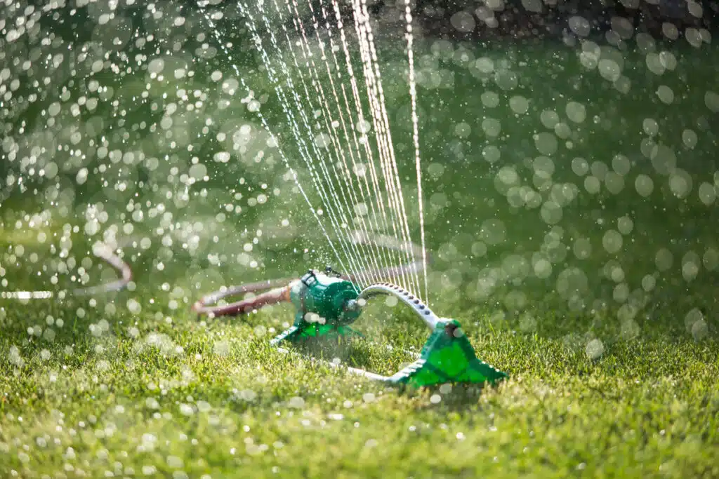 L’arte Dell’irrigazione: Come Mantenere Il Tuo Giardino Rigoglioso E Sostenibile