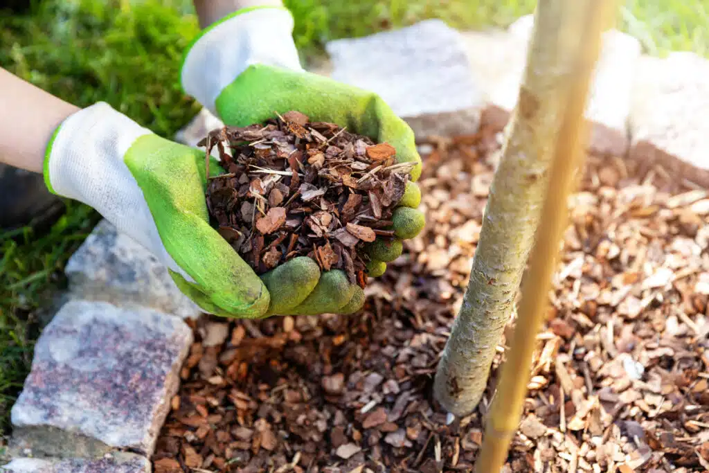Pacciamatura:  La Chiave Per Un Giardino Sano E Rigoglioso 