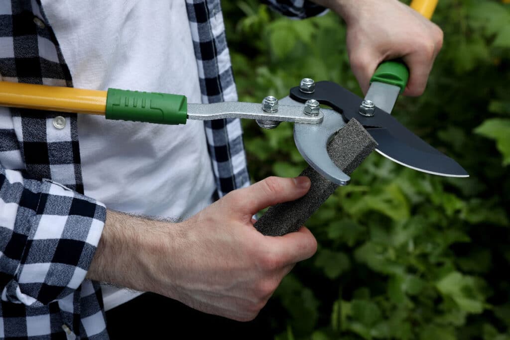 La cura degli attrezzi da giardino:  la chiave per un giardinaggio di successo