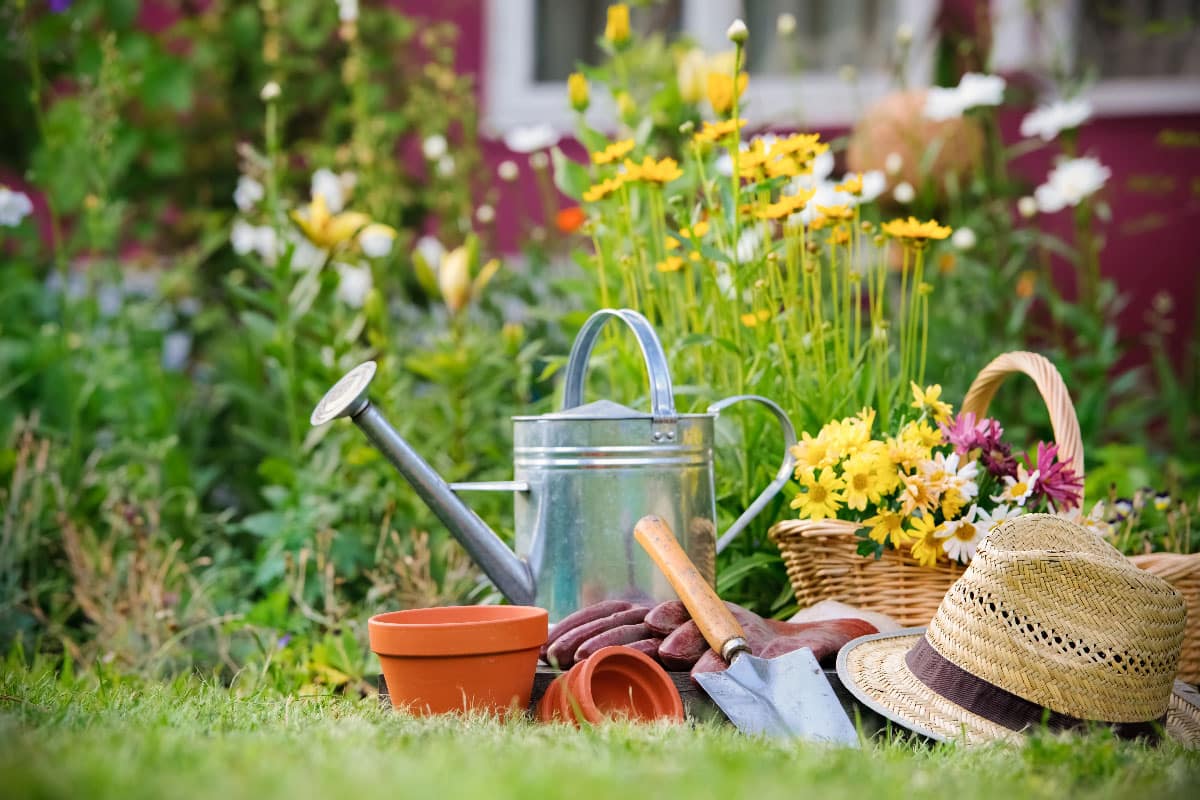 Blog - Pollice Verde Vicenza - 5 La Cura Degli Attrezzi Da Giardino:
La Chiave Per Un Giardinaggio Di Successo