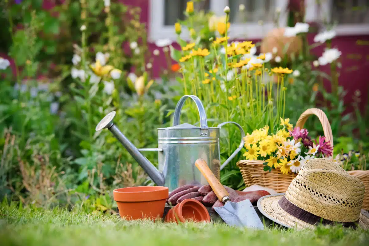 La cura degli attrezzi da giardino:  la chiave per un giardinaggio di successo