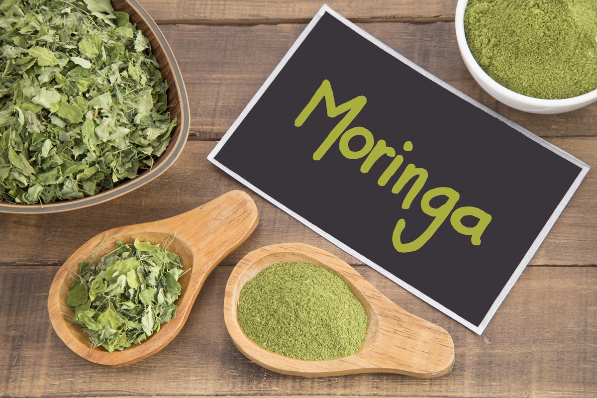 Blog - Pollice Verde Vicenza - 3 La Moringa Oleifera: L'Albero Dei Miracoli Dalle Mille Virtù