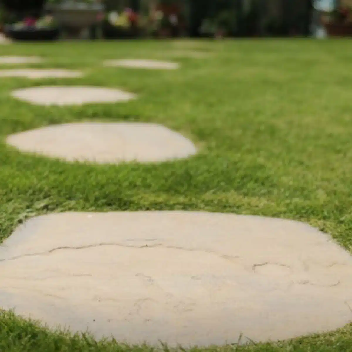 CHAPTER-IRREGULAR-COLORE-PANNA