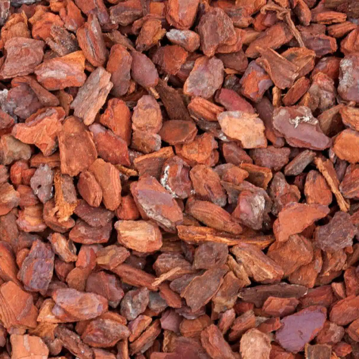 CORTECCIA-NATURA-ROSSA