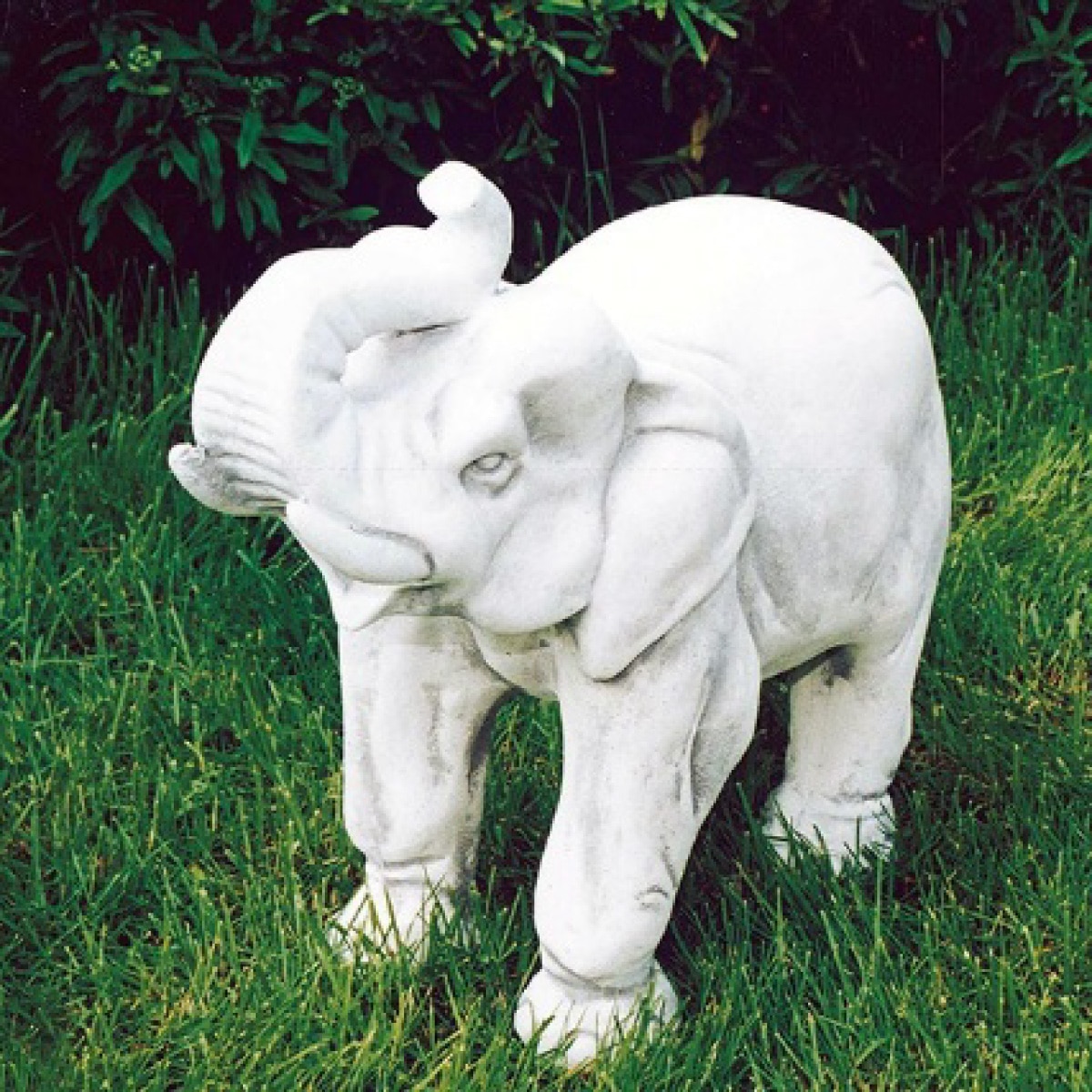 ELEFANTE-H-48-PESO-48-KG