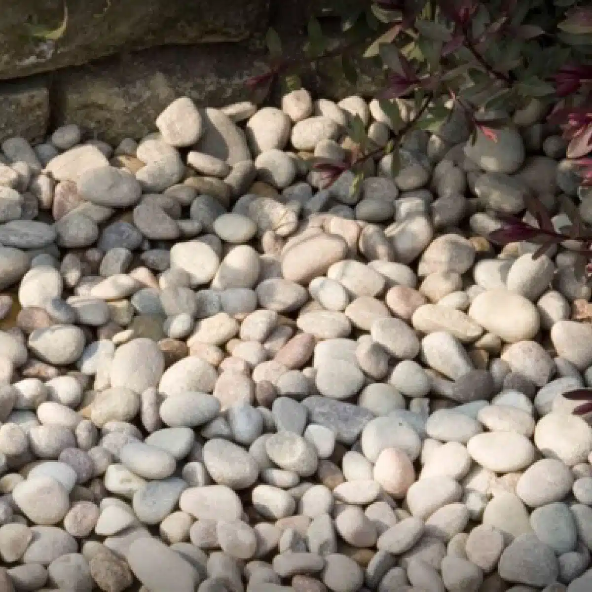 HIGHLAND-(CIOTTOLO-DA-FIUME)