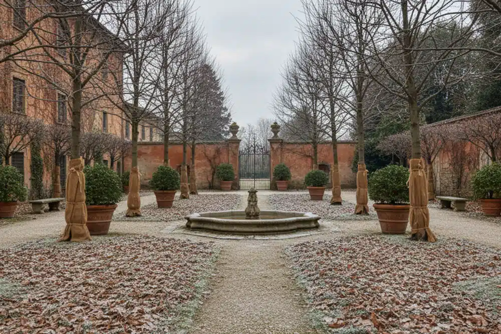 Servizi Giardino Inverno - Pollice Verde Vicenza - 8 Pollice Verde Vicenza Servizi Giardino Inverno 7