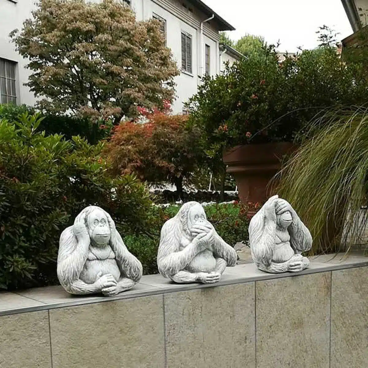 SERIE-3-SCIMMIE-H-23-CM-PESO-21-KG