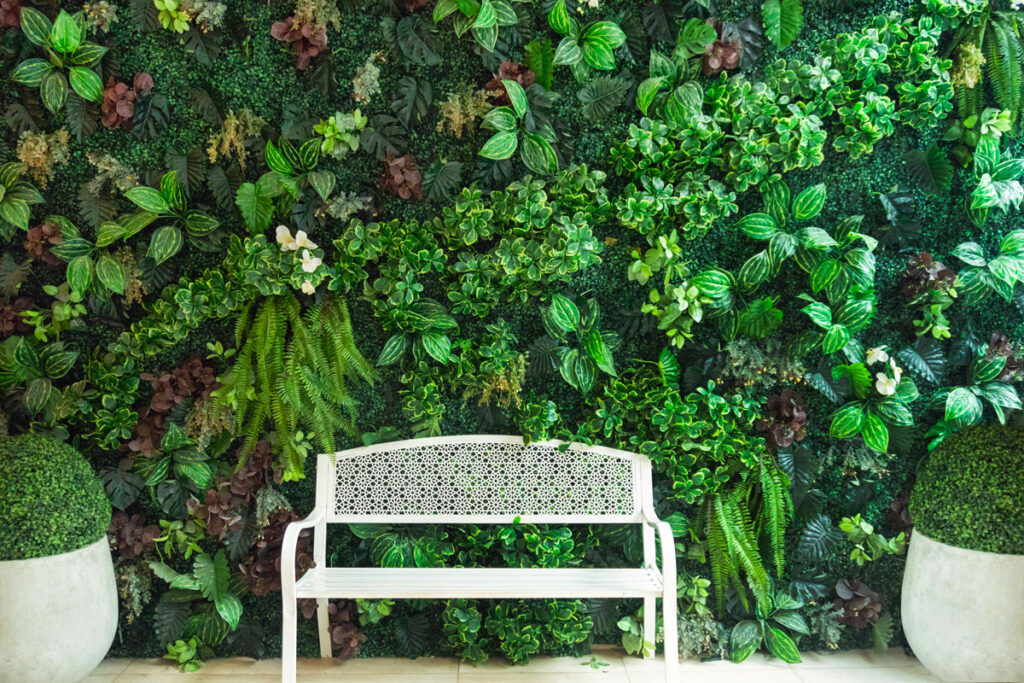 Giardino Verticale A Vicenza: La Soluzione Per Gli Spazi Urbani Ridotti