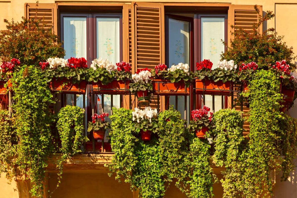Balcone Fiorito In Primavera: Guida Completa In 5 Passaggi