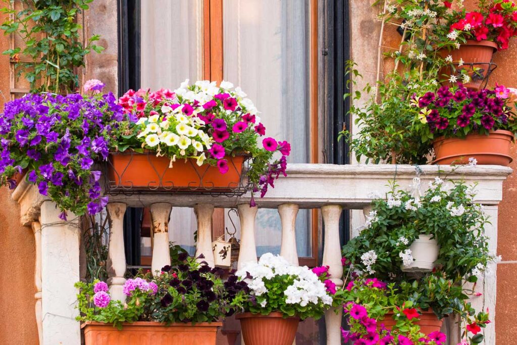 Balcone Fiorito In Primavera: Guida Completa In 5 Passaggi - Pollice Verde Vicenza - 1 Balcone Fiorito In Primavera: Guida Completa In 5 Passaggi