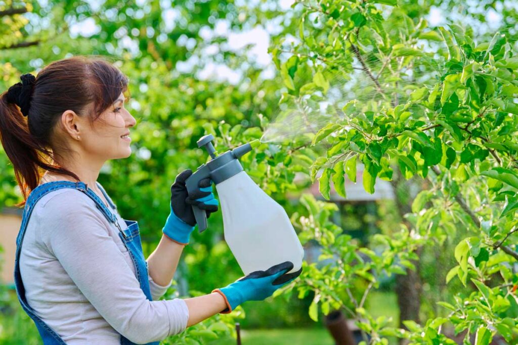 Rimedi Naturali Contro I Parassiti Delle Piante: Guida Completa 2026 - Pollice Verde Vicenza - 1 Rimedi Naturali Contro I Parassiti Delle Piante: Guida Completa