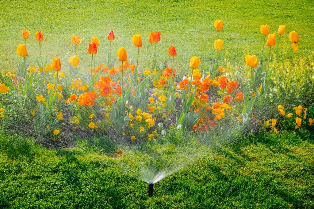 Irrigazione Smart: Risparmiare Acqua Con Sistemi Intelligenti