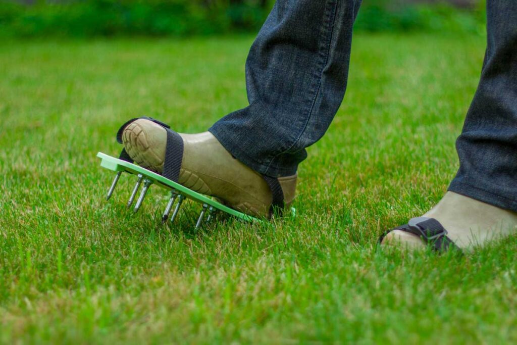 Preparare Il Prato All&Amp;Apos;Autunno: Risemina E Manutenzione